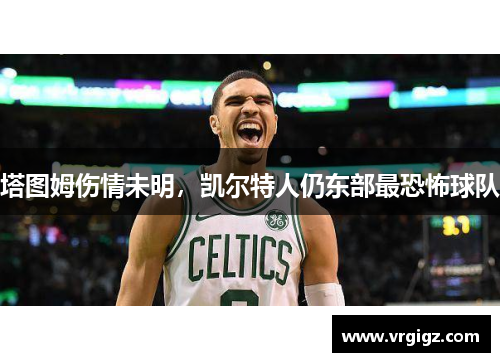 塔图姆伤情未明，凯尔特人仍东部最恐怖球队